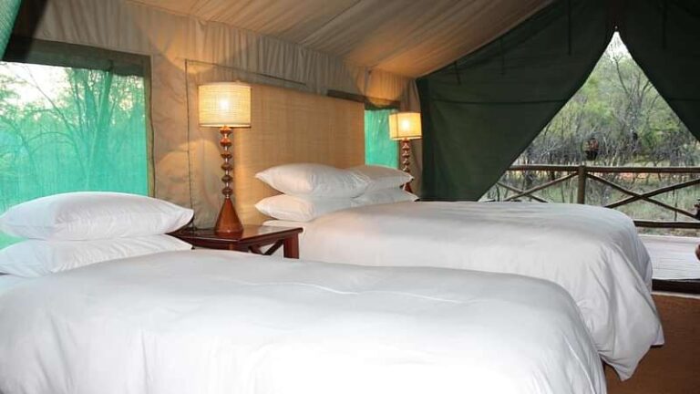 4 Day Mantobeni Luxury Safari